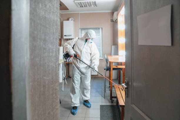 Best Emergency Mold Remediation  in Milford, NJ